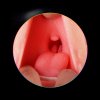 Oral 3D Deep Throat with Tongue Teeth Maiden Artificial Vagina Male Masturbator