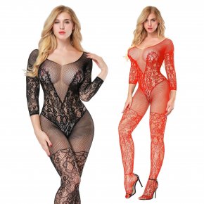 Lace and Fishnet Bodystocking